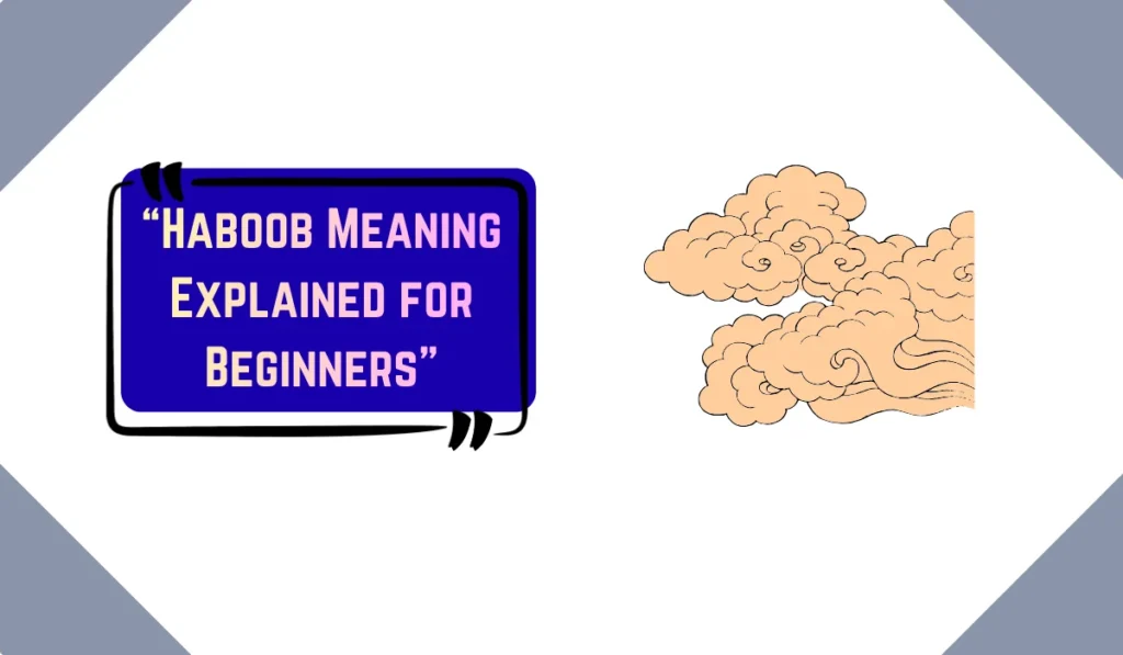 haboob meaning