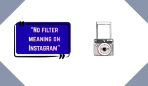 photo dump meaning
