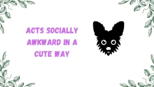 dorky meaning