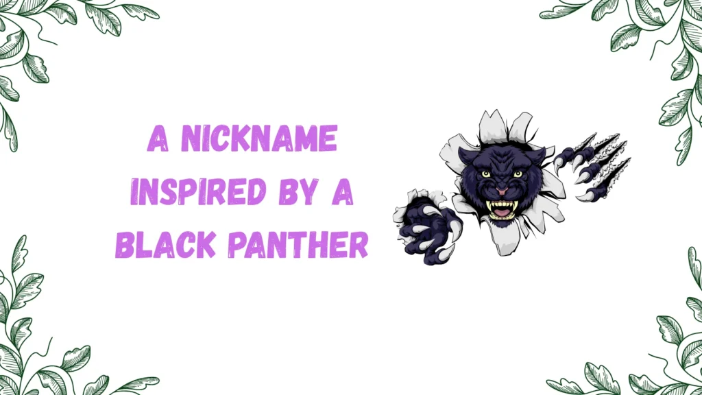 pantera meaning