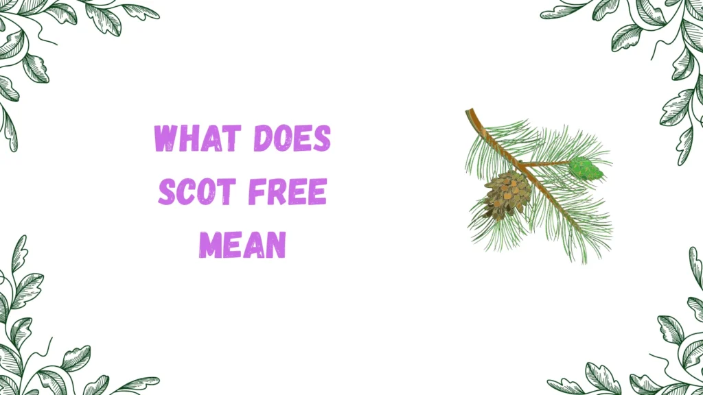 scot free meaning