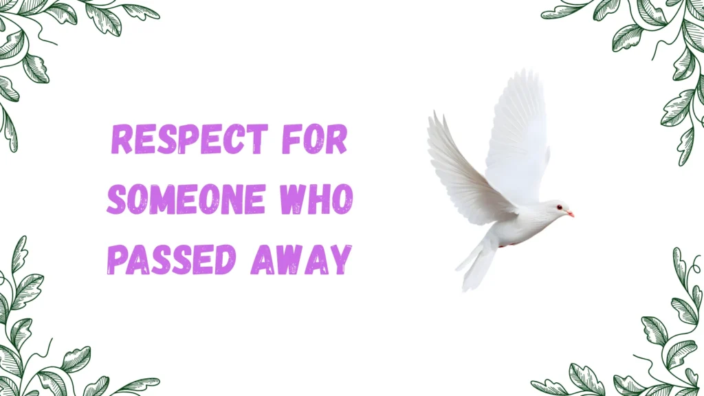 white dove meaning